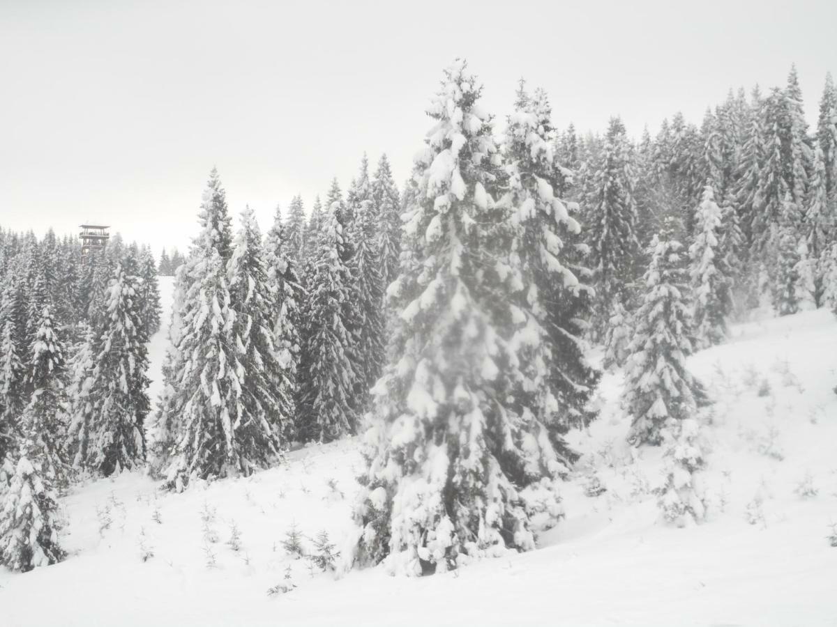 Apartmany Velka Lomnica B4-Ad1 Buitenkant foto